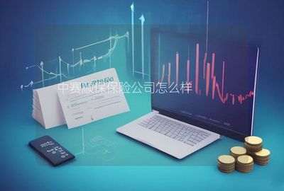 中賽順保保險(xiǎn)公司在計(jì)算機(jī)軟硬件的技術(shù)開發(fā)與銷售領(lǐng)域的發(fā)展與優(yōu)勢(shì)