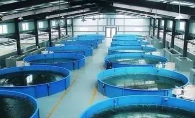 既要養(yǎng)好魚，又要護(hù)生態(tài) 一文秒懂《工廠化水產(chǎn)養(yǎng)殖系統(tǒng)》安裝指南